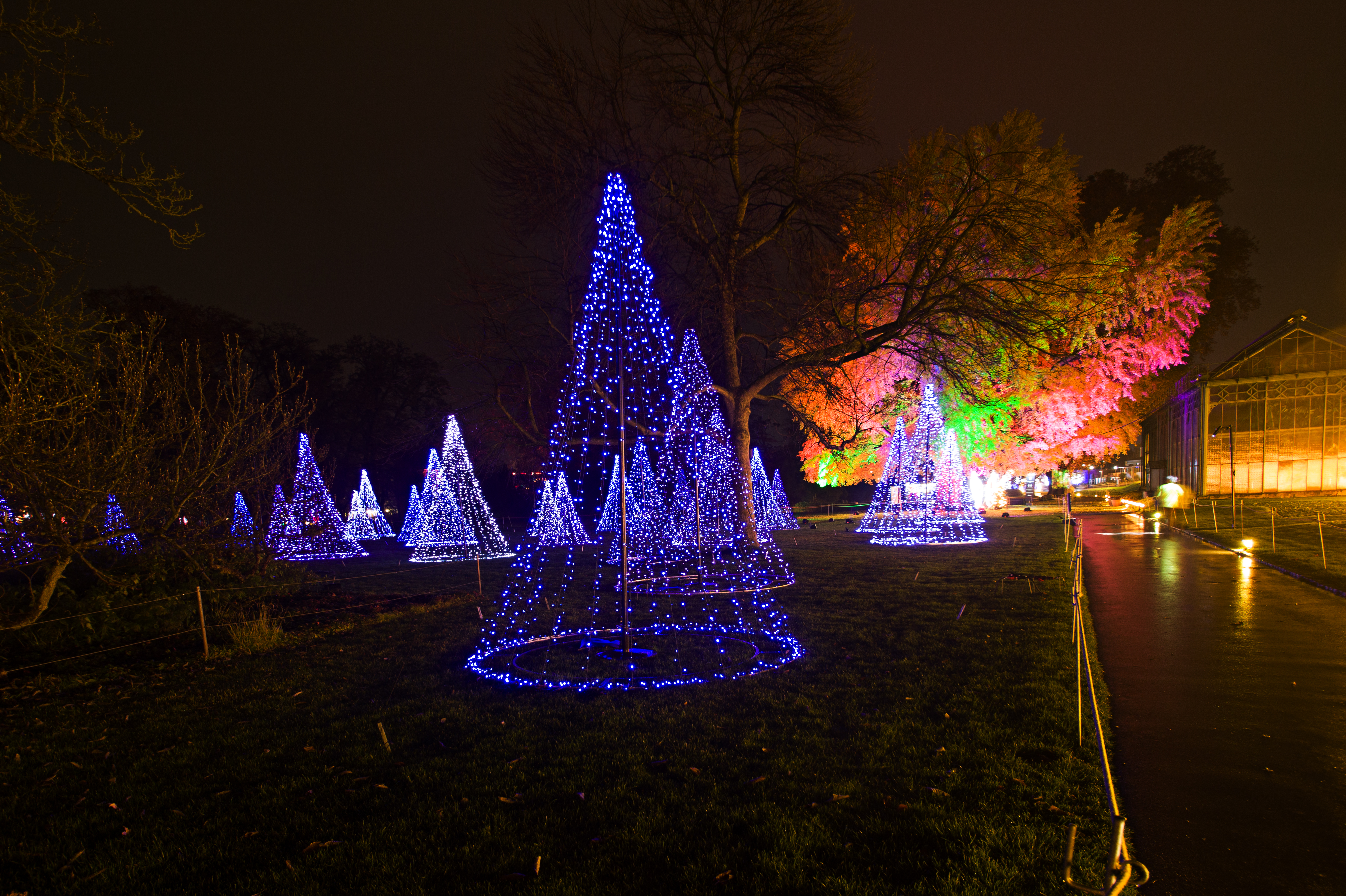 Christmas Garden Wilhelma